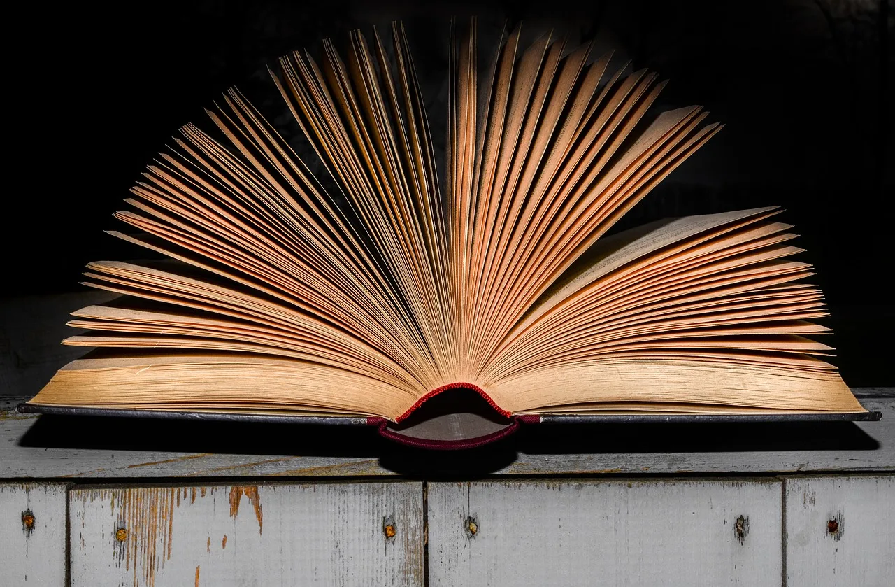 literature, book, open, pages, open book, paper, library, page, textbook, information, school, reading, old, hardcover, design, media, book, open book, open book, open book, open book, open book