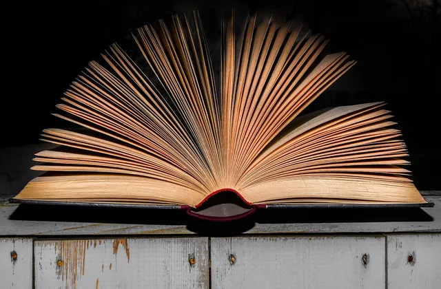 literature, book, open, pages, open book, paper, library, page, textbook, information, school, reading, old, hardcover, design, media, book, open book, open book, open book, open book, open book. What proposal software competitor research means for sales teams